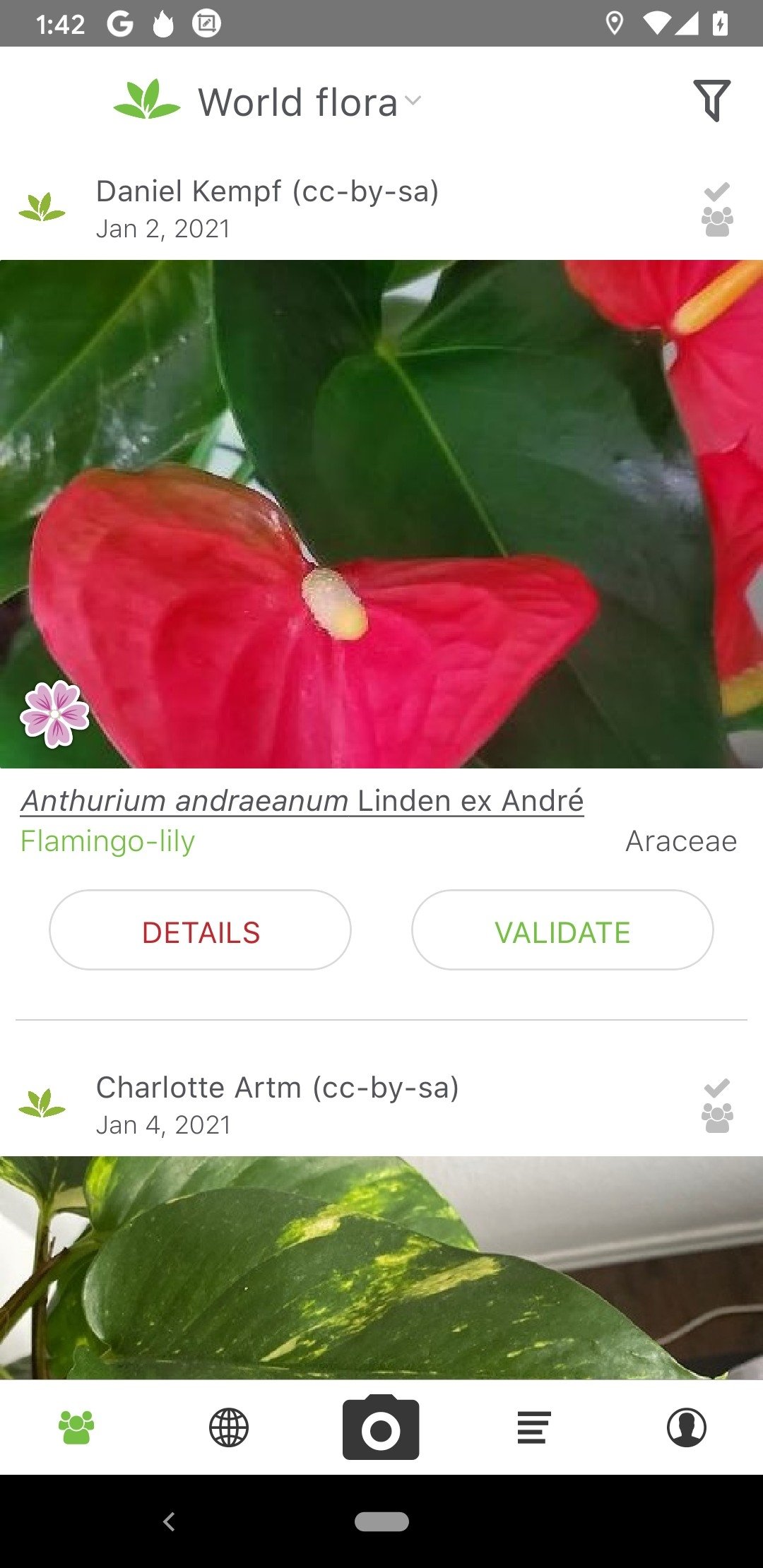 plantnet 3.4.4 - download für android apk kostenlos