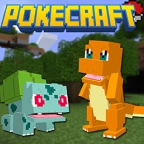 Poki-Craft Minecraft Server