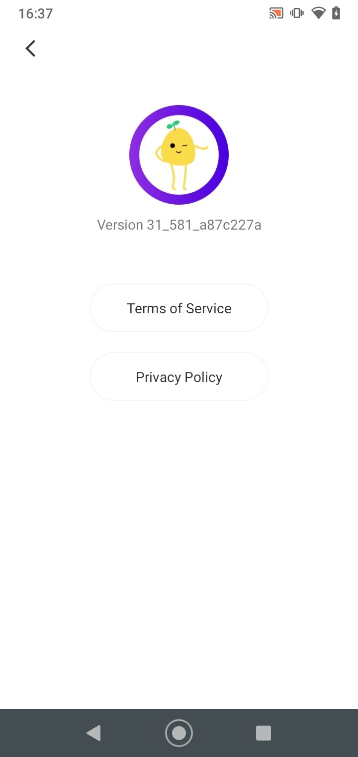 potato vpn apk