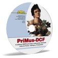 acca primus dcf download