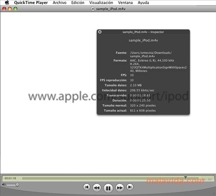 apple quicktime player download for windows 8