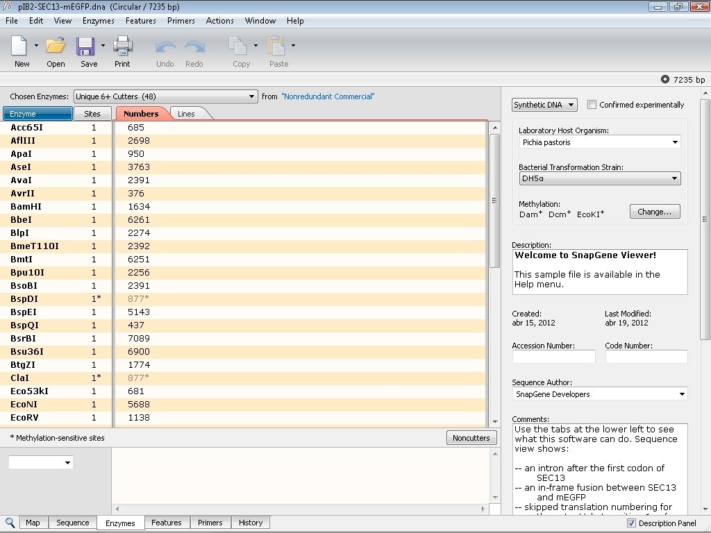 snapgene viewer quality