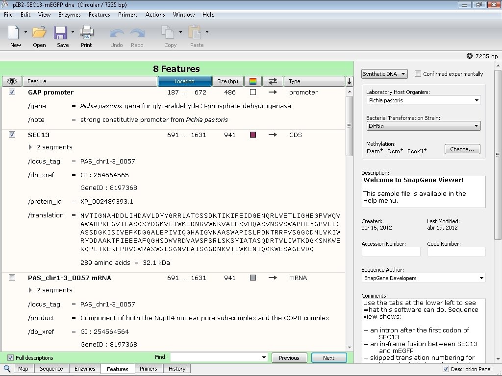 SnapGene Viewer 4.2.11 - Download for PC Free