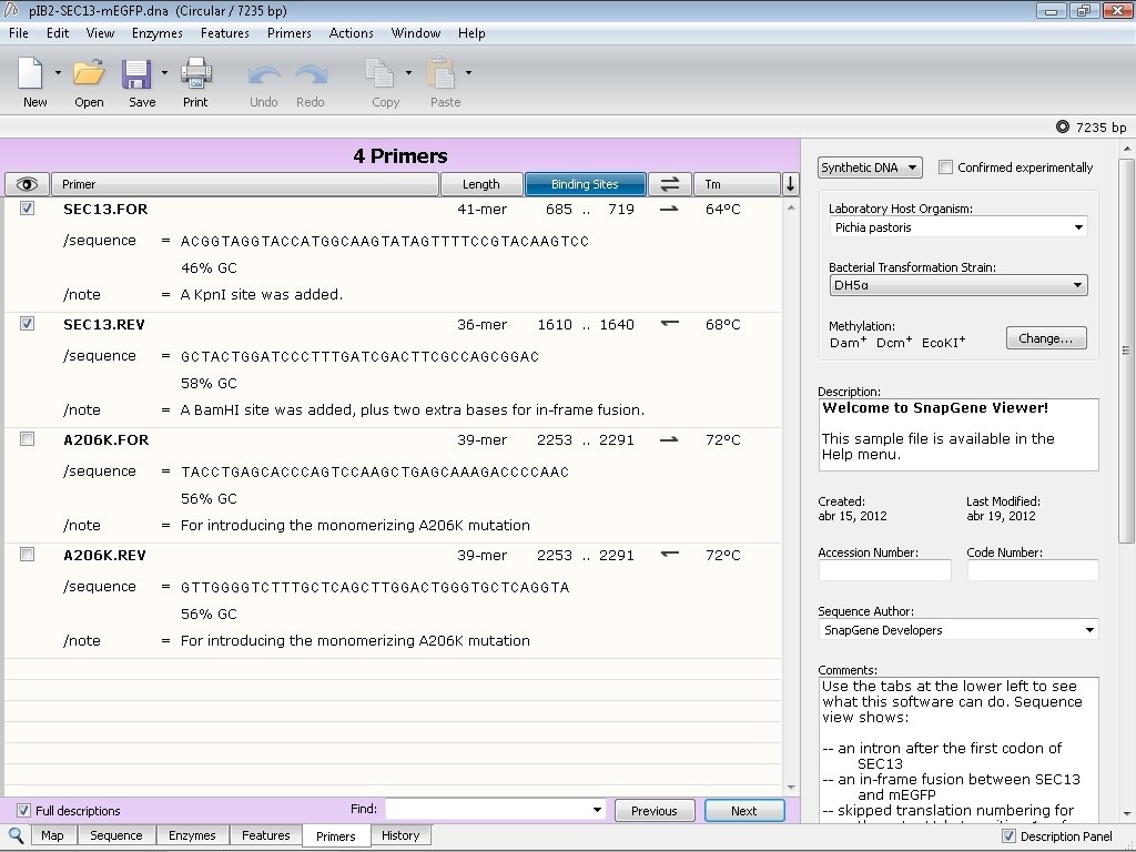 compare multiple sequences snapgene viewer