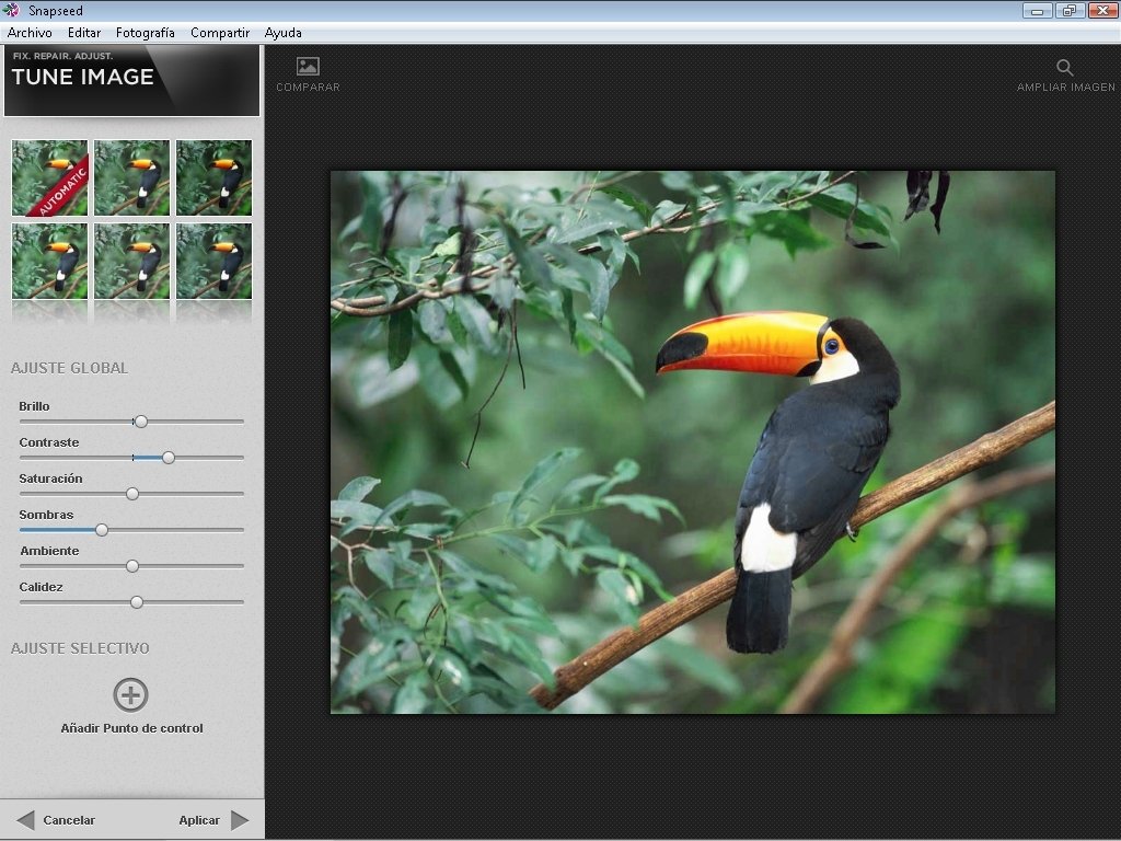 snapseed online for mac