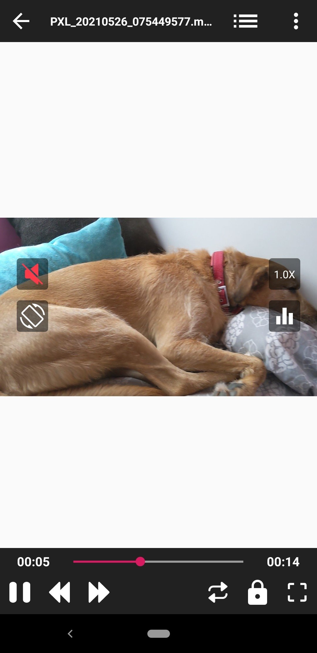 SX Video Player Android 