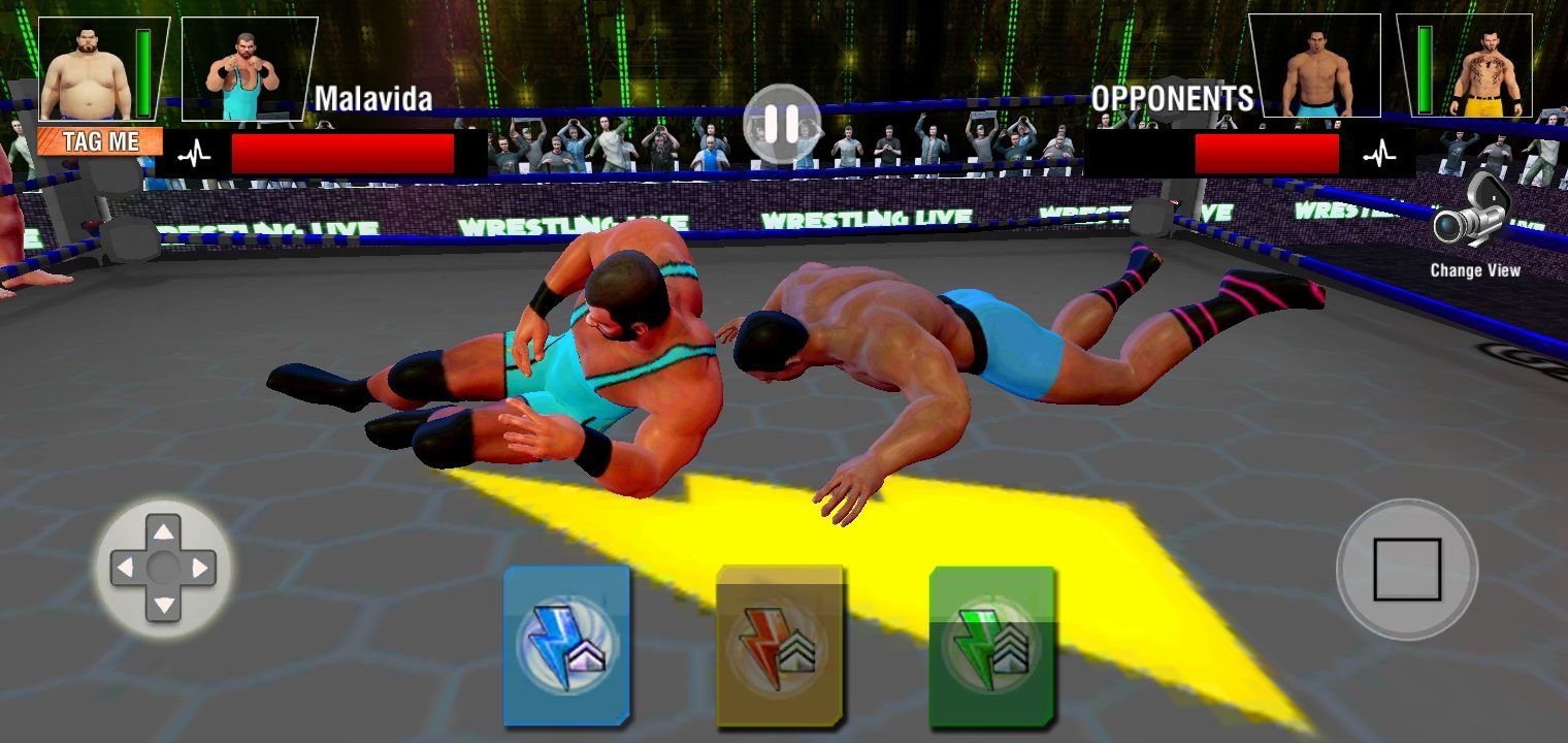 Tag Team Wrestling Apk Download For Android Free