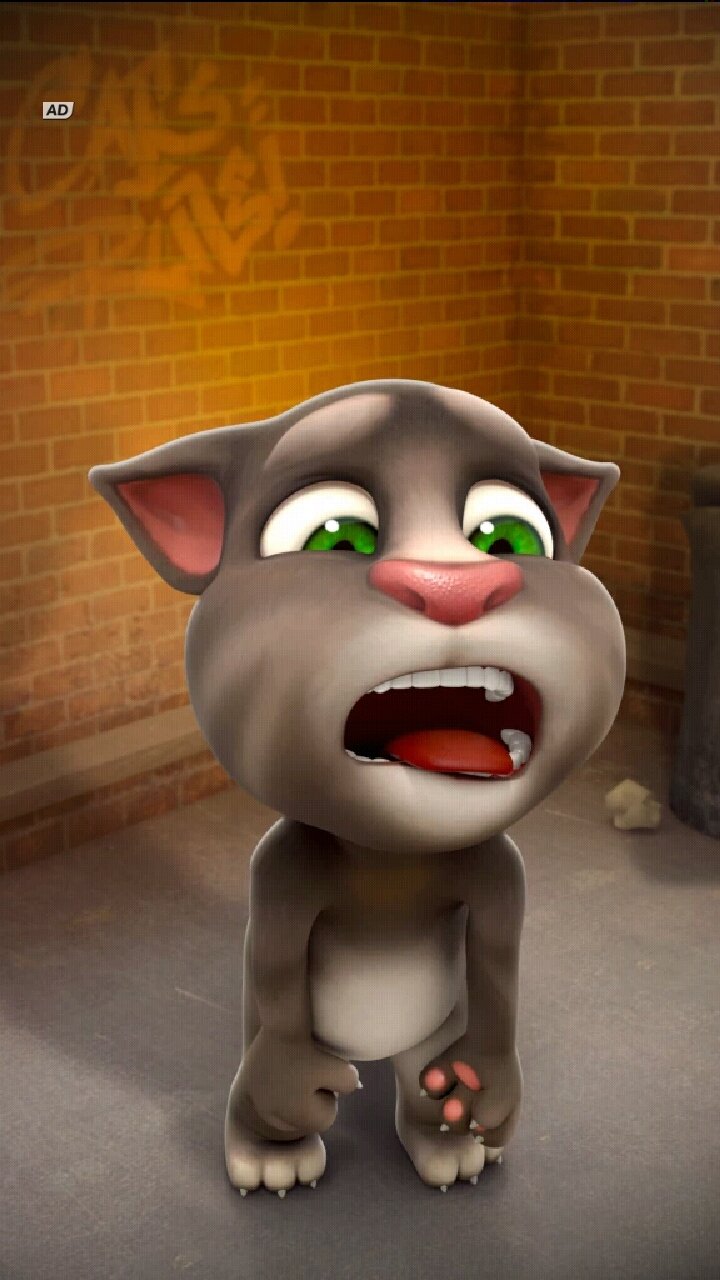 Talking tom 2010