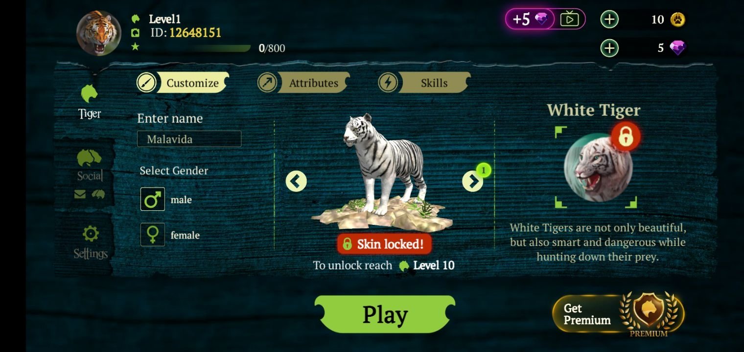 Jogo do Tigre APK for Android Download