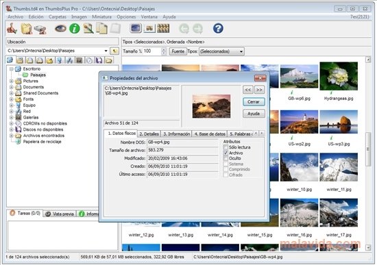 download thumbsplus old version