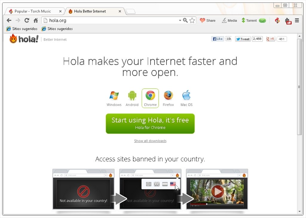 using tor browser and google dns