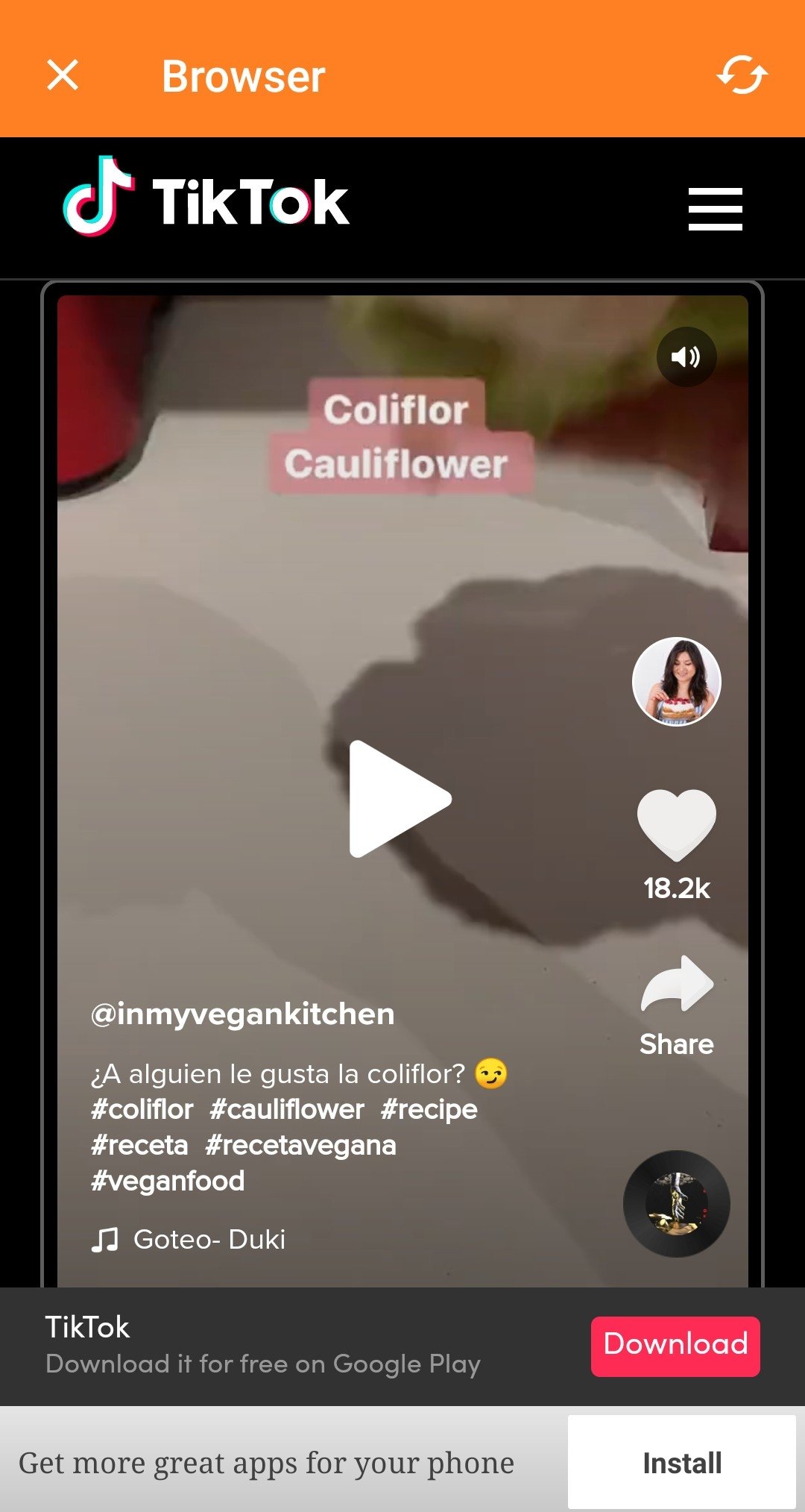 tiktok downloader snaptik apk