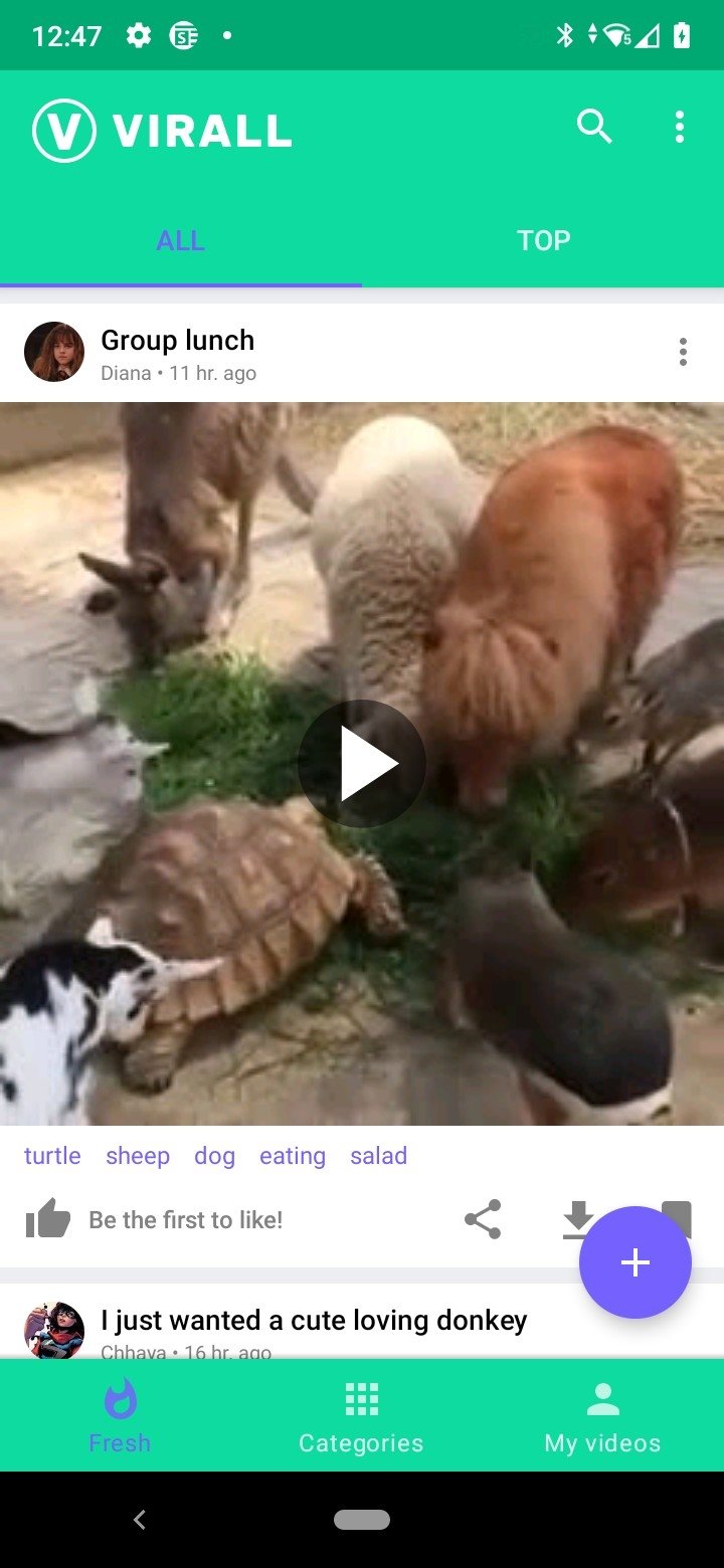 engraçados vídeos animais - Baixar APK para Android