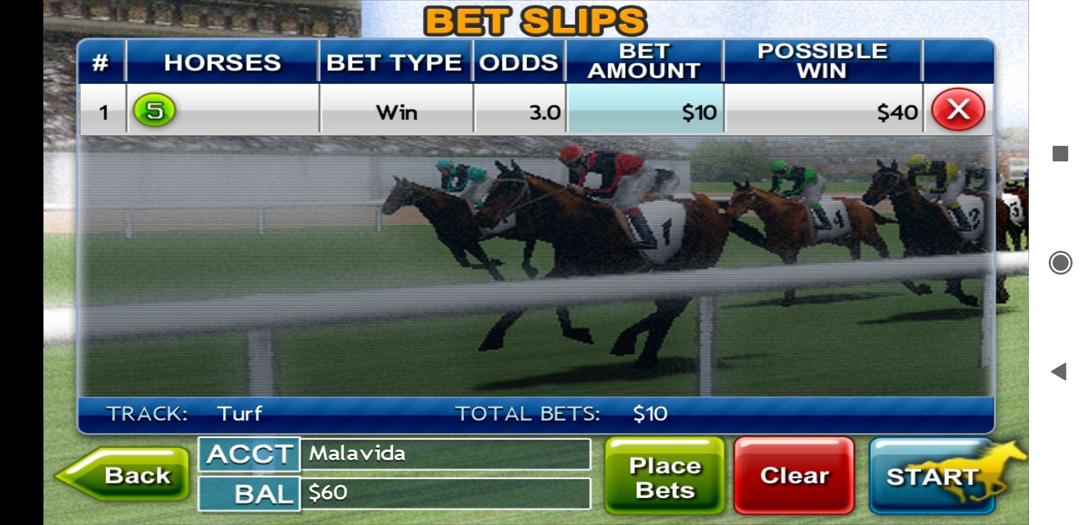 Play Free Virtual Horse Race Game Online