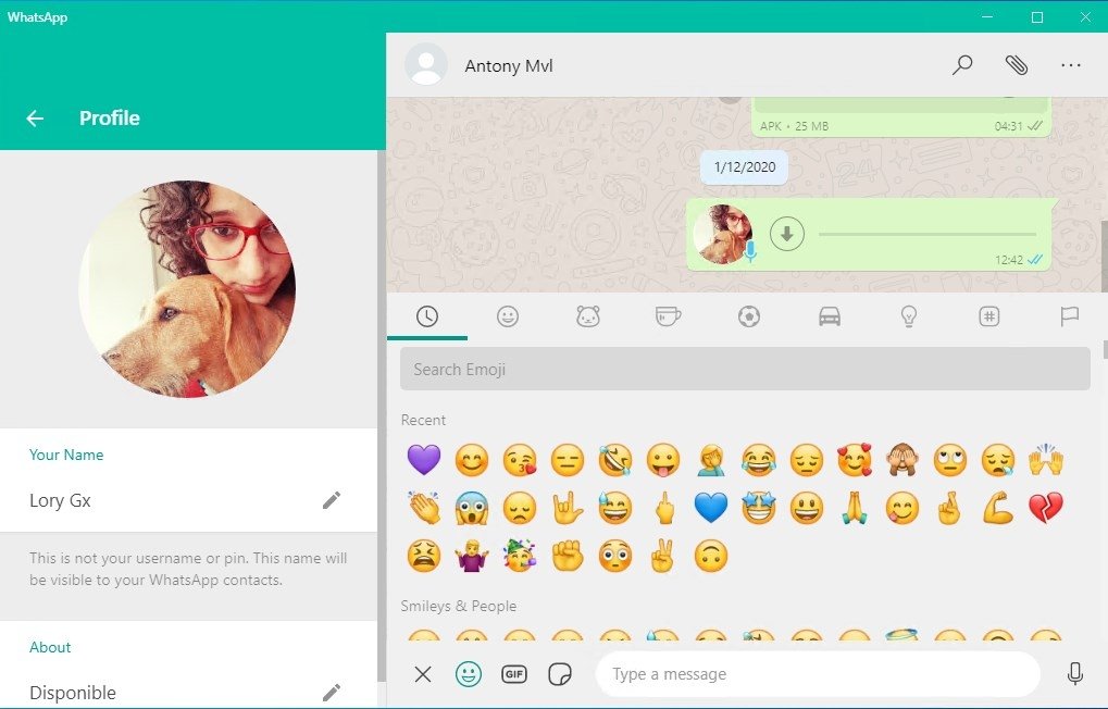 Kruipen sociaal De eigenaar WhatsApp Messenger 2.2310 - Download for PC Free