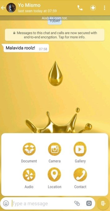 WhatsGold 6.66 - Download for Android APK Free