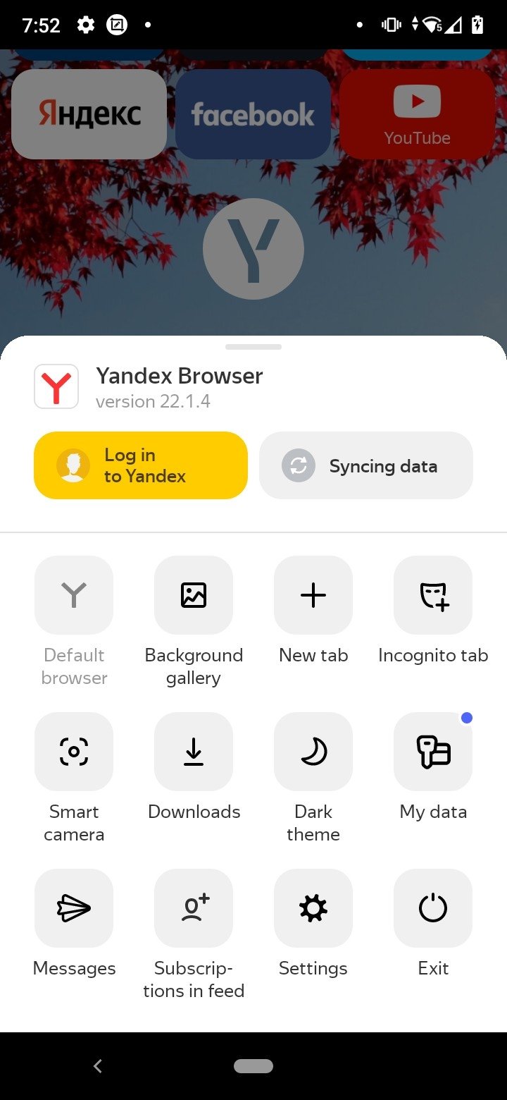 yandex browser tor гирда