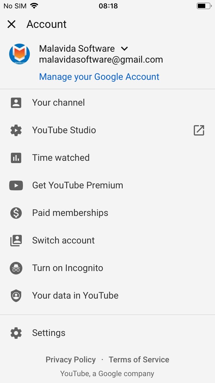 Youtube Download For Iphone Free