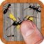 Free Download Ant Smasher 9.56