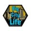 Big City Life Android