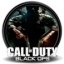 Call of Duty: Black Ops Windows