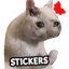 Cat Memes Stickers Android