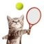 Cat Meow Tennis Android