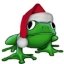 Christmas Super Frog Windows