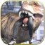 Dinosaur Simulator: Dino World Android