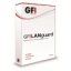 GFI LANguard Windows