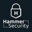 Hammer Security Android