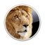 macOS Lion Mac