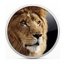 Download Lion Recovery Disk Assistant For Mac