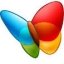 MSN Explorer Windows