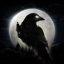 Night Crows Android