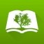 Olive Tree Bible App Android