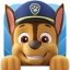 Paw Patrol Academy Android