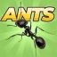 Pocket Ants Android