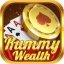 Rummy Wealth Android