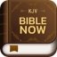 kjv bible download for android