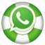 WhatsApp Recovery Windows