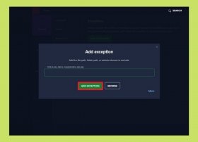 How to prevent Avast! from blocking a program