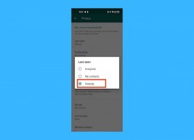 How to read and reply to messages on WhatsApp without appearing online