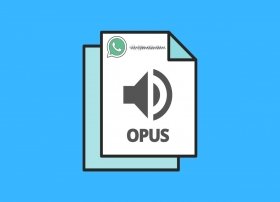 Comment ouvrir ou lire des fichiers WhatsApp Opus
