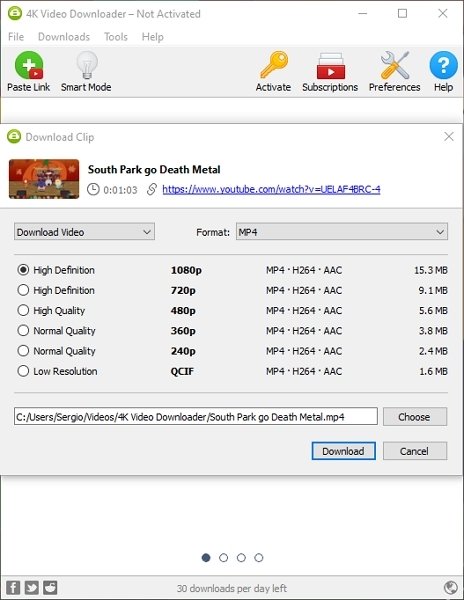 4K Video Downloader's format options