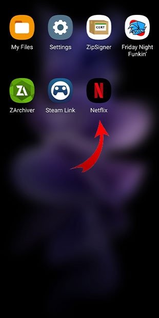 Access the Netflix app