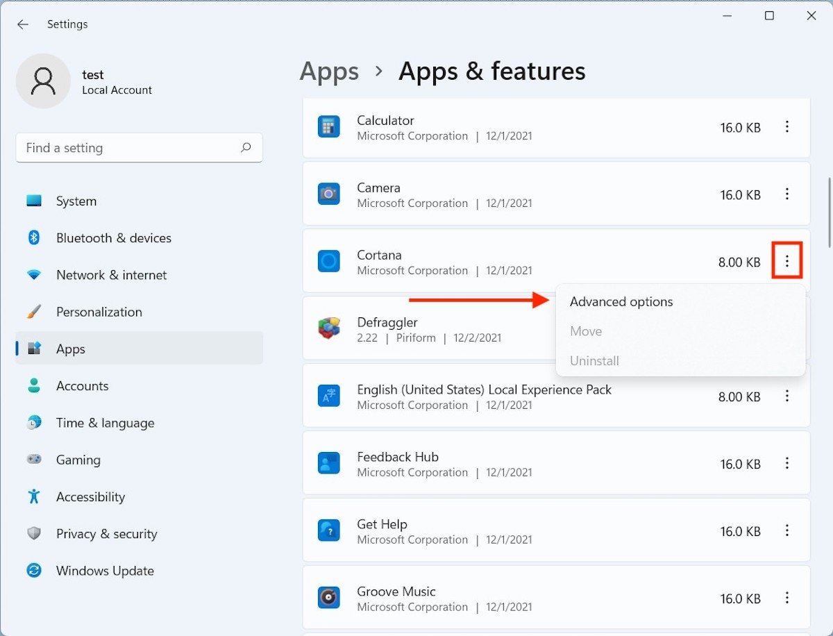 Options avancées de Cortana