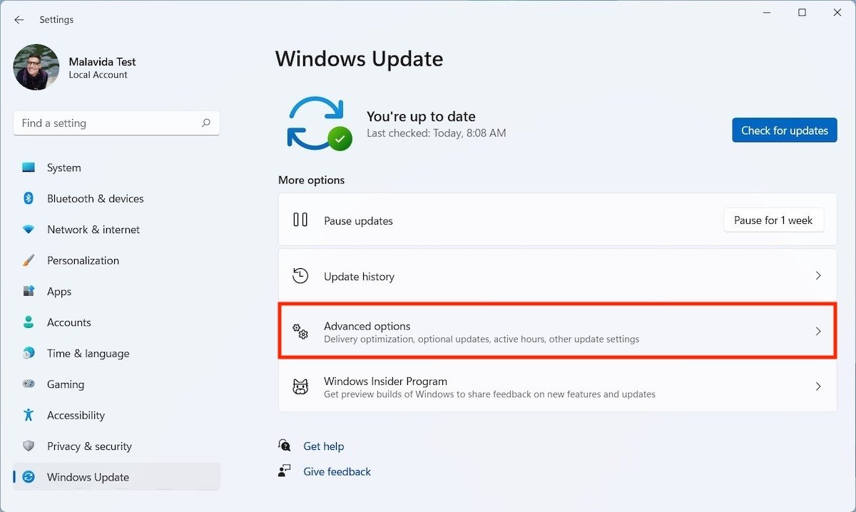 Opzioni avanzate di Windows Udpdate