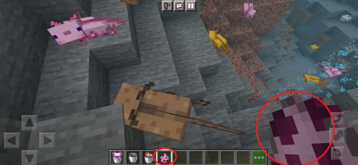 Axolotl in uovo in Minecraft