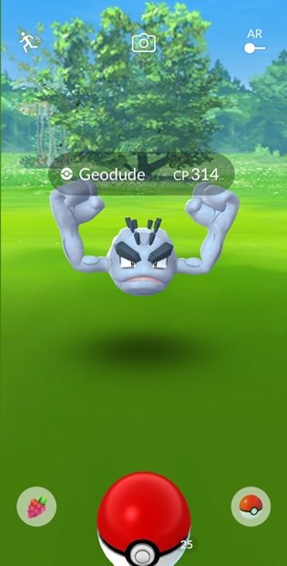 Captura de un Pokémon